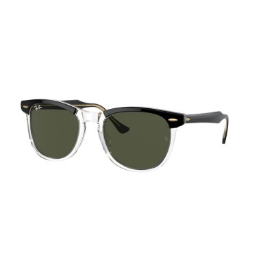 Ray-Ban EAGLEEYE RB2398 129431