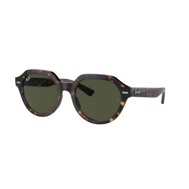 Ray-Ban GINA RB4399 902/31