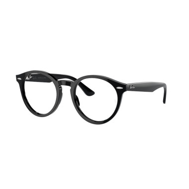 Ray-Ban LARRY RX7680V 2000