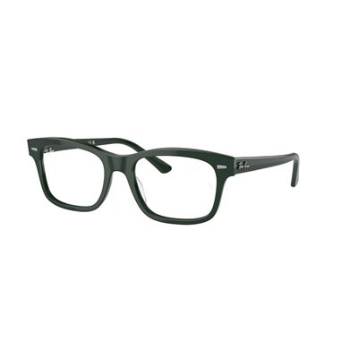 Ray-Ban MR BURBANK RX5383 8226