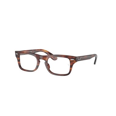 Ray-Ban Junior BURBANK RY9083V 3888